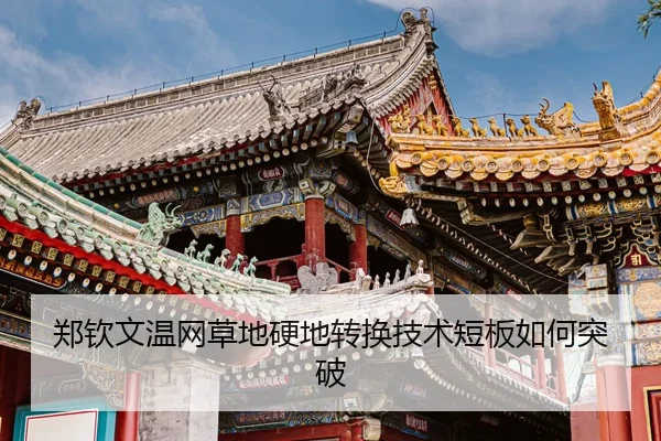 zheng-qin-wen-wen-wang-cao-di-ying-di-zhuan-huan-ji-shu-duan-ban-ru-he-tu-po-3-429.jpg