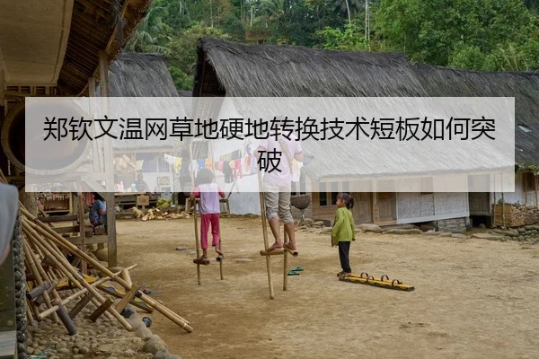 郑钦文温网草地硬地转换技术短板如何突破