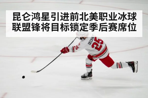 昆仑鸿星引进前北美职业冰球联盟锋将目标锁定季后赛席位