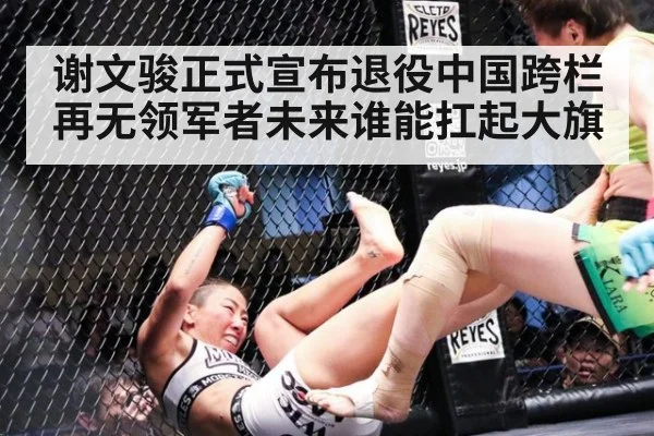 谢文骏正式宣布退役中国跨栏再无领军者未来谁能扛起大旗